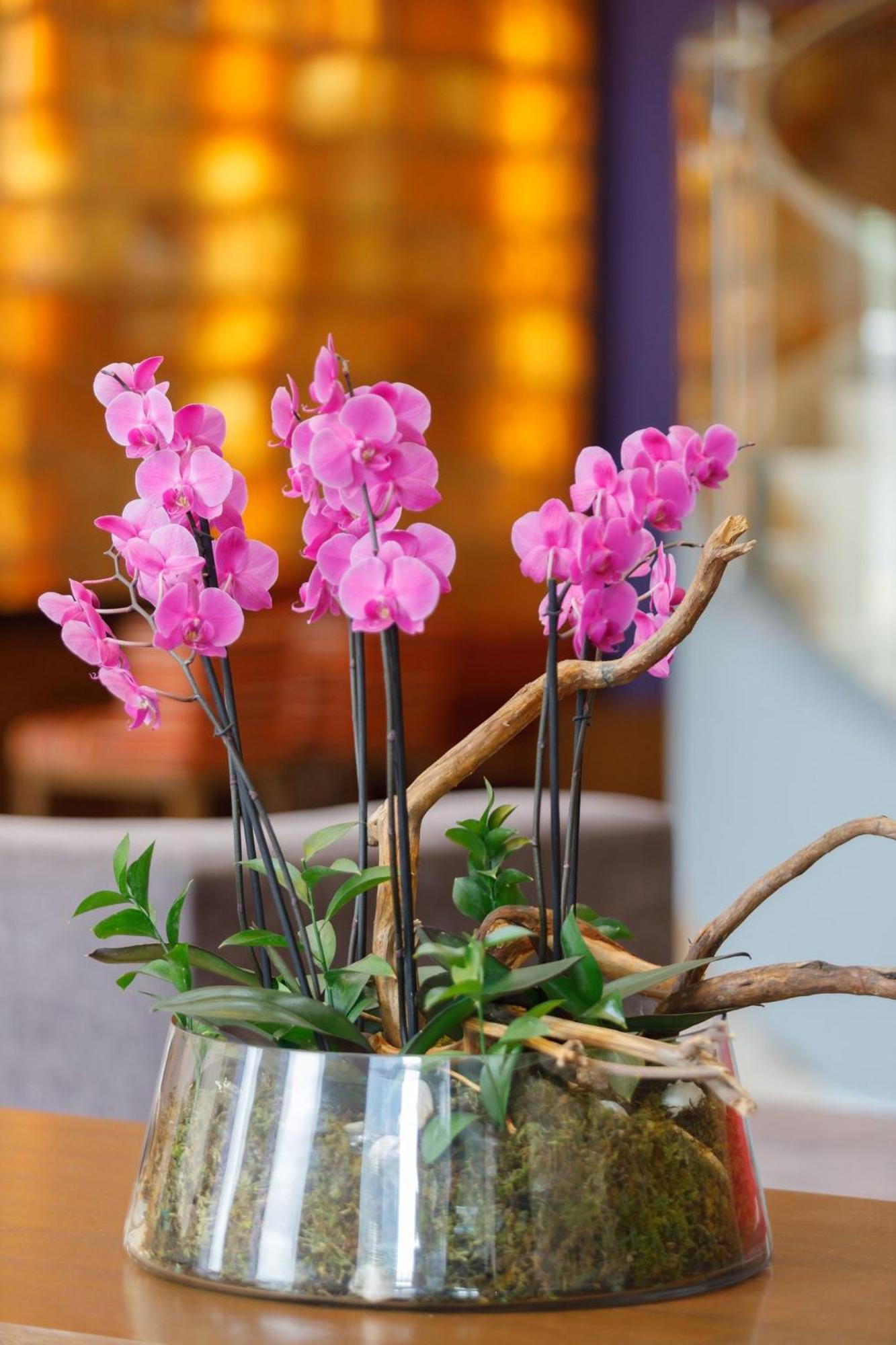 Hotel Camino Real Pedregal Mexico Exteriér fotografie Flower arrangement
